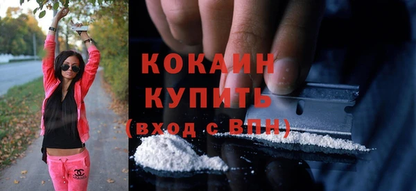 apvp Алексин