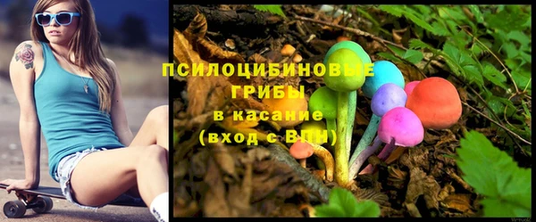 apvp Алексин