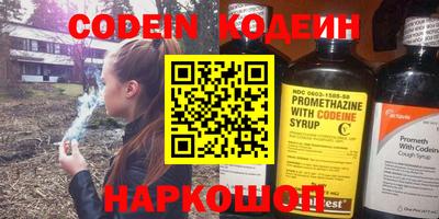 герыч Кингисепп