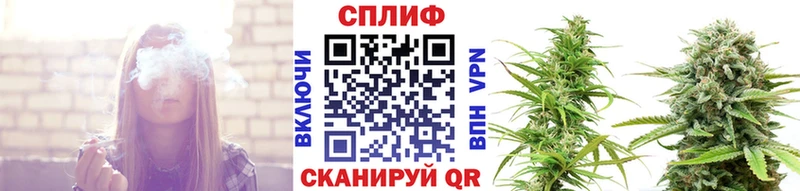 Конопля VHQ  где найти   Коряжма 