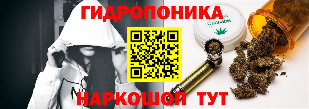 Конопля план Коряжма